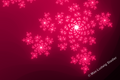 Rose Ember Constellation