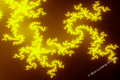 Amber Spiral Bloom